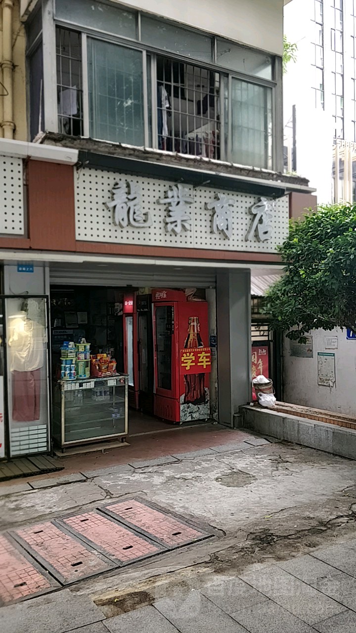 龙业商店