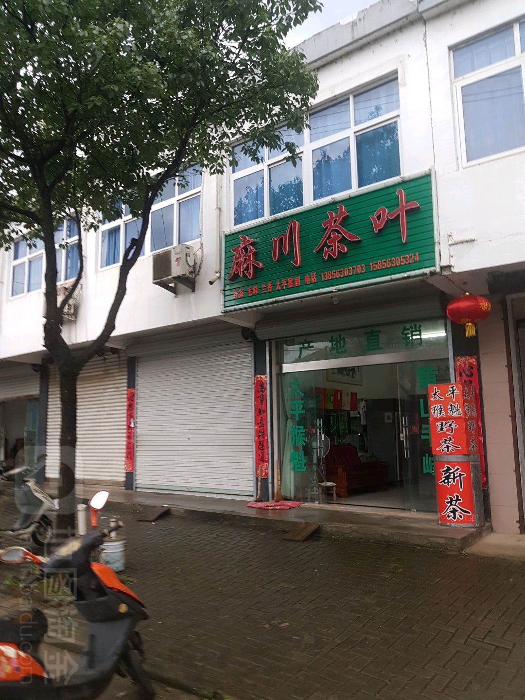 麻川茶叶