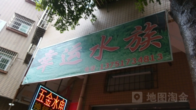 幸运水族
