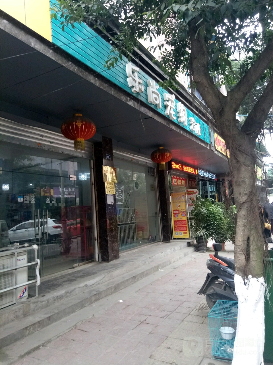 乐尚宠物诊所(银杏路店)