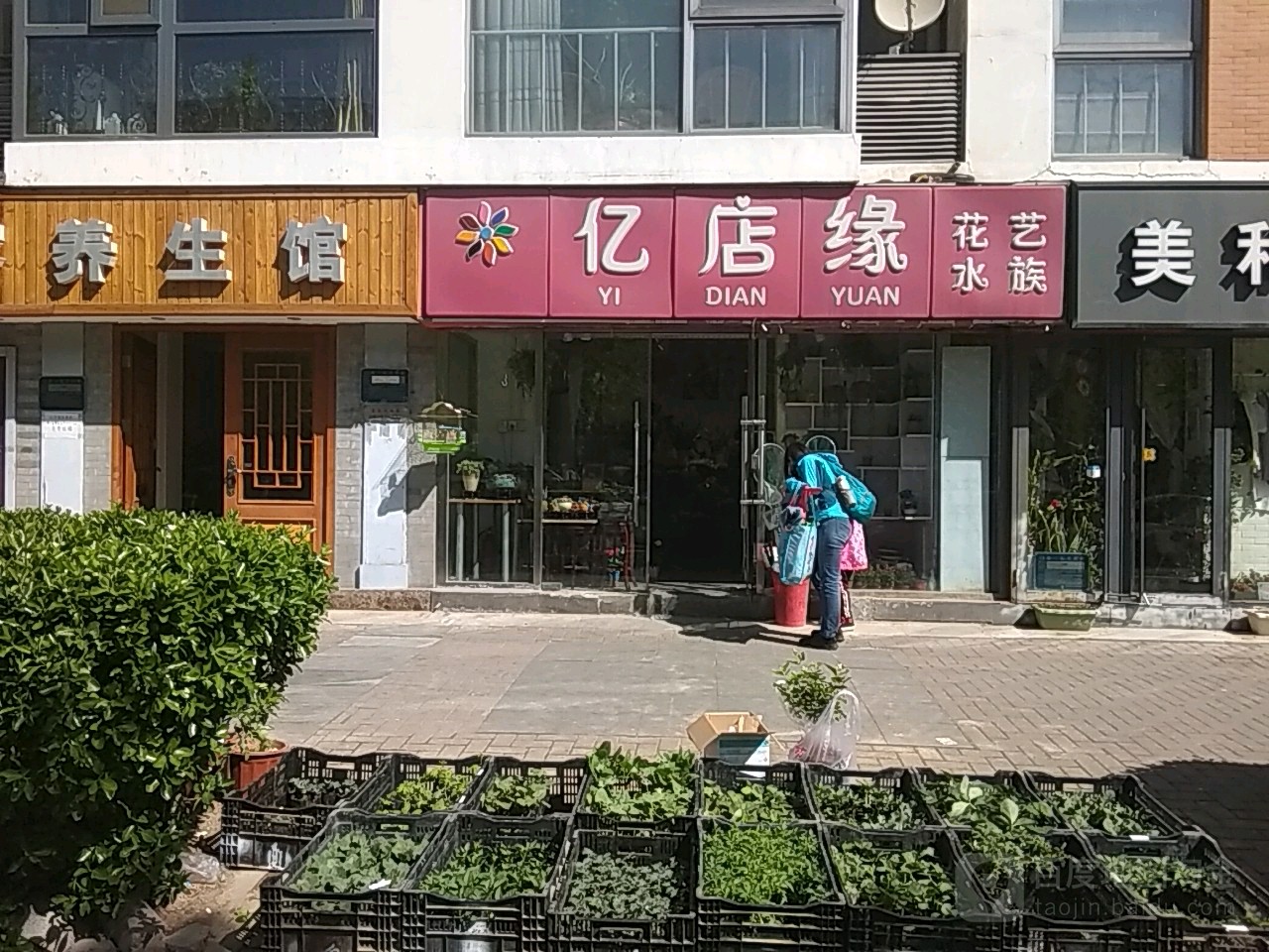 亿店缘华艺水族