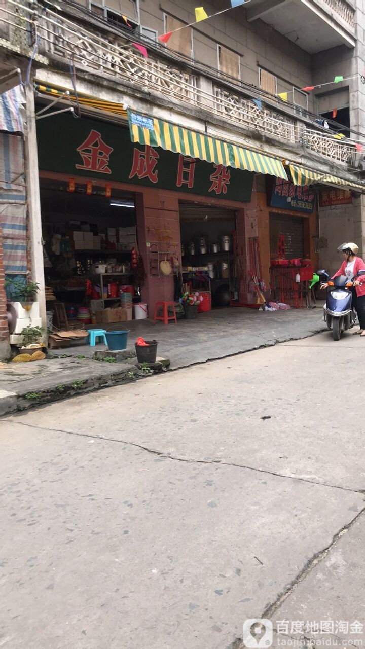 金成日杂