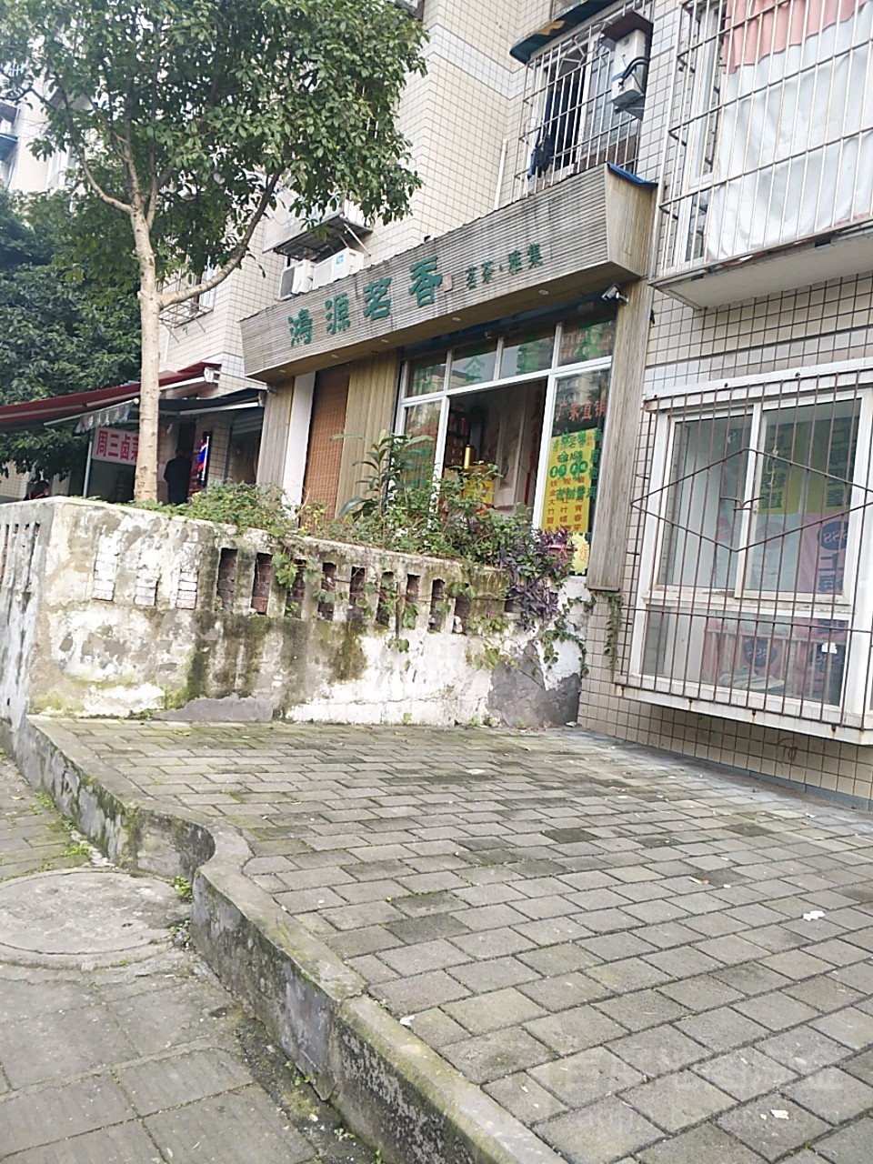 鸿源茗香明茶