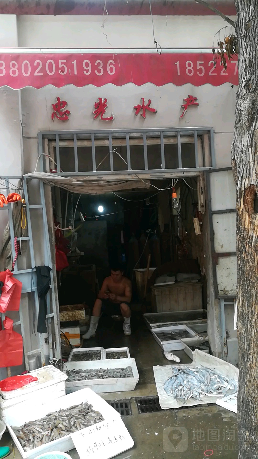 中国水产