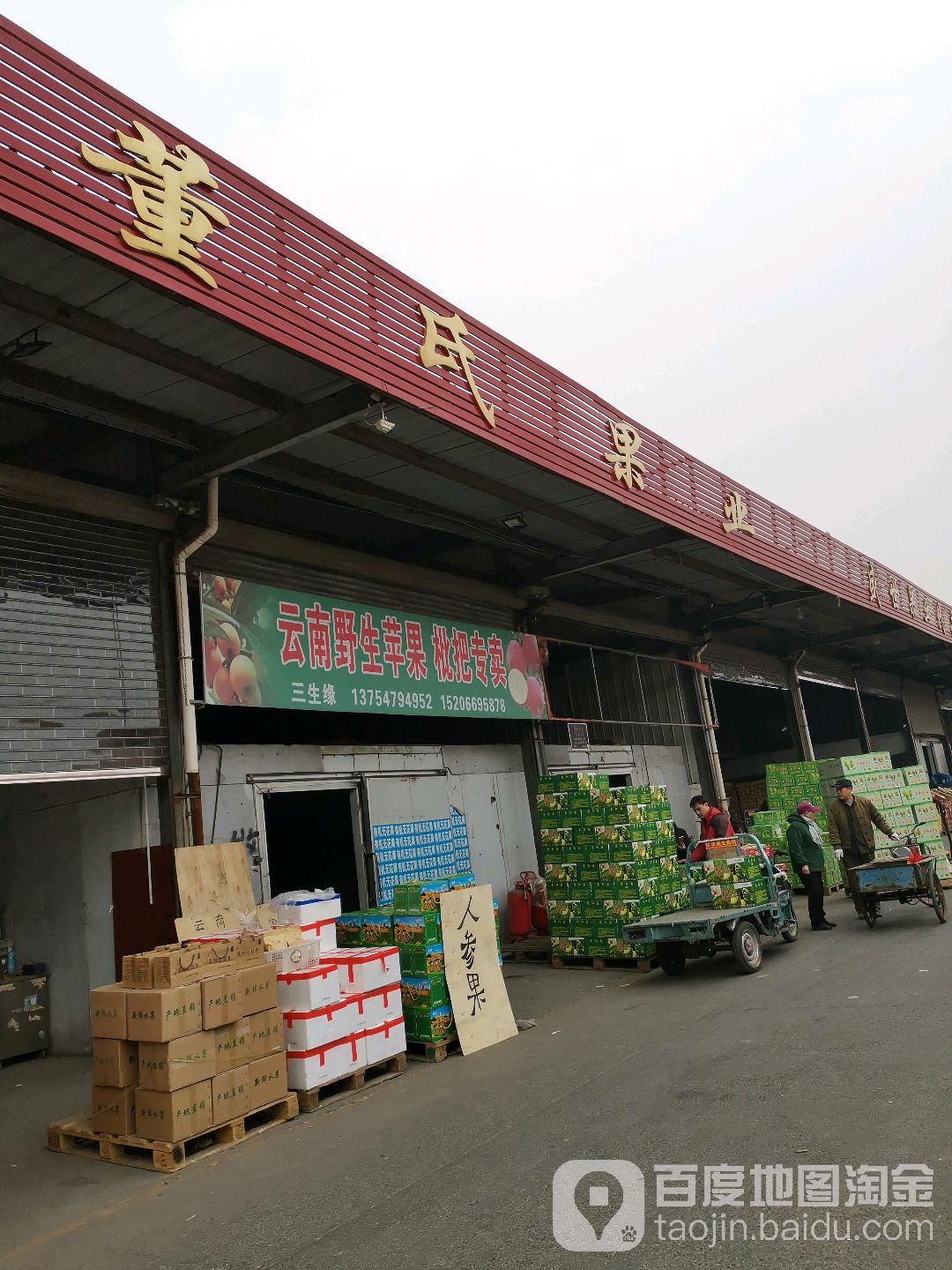 董氏精品果业
