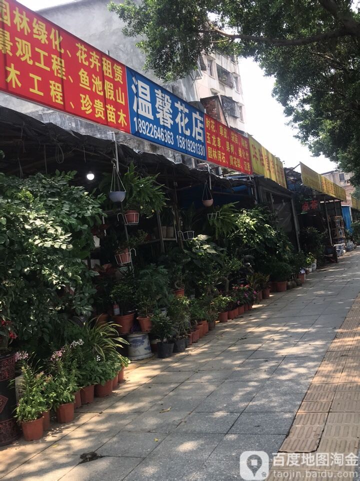 温馨花卉(宋城二路店)