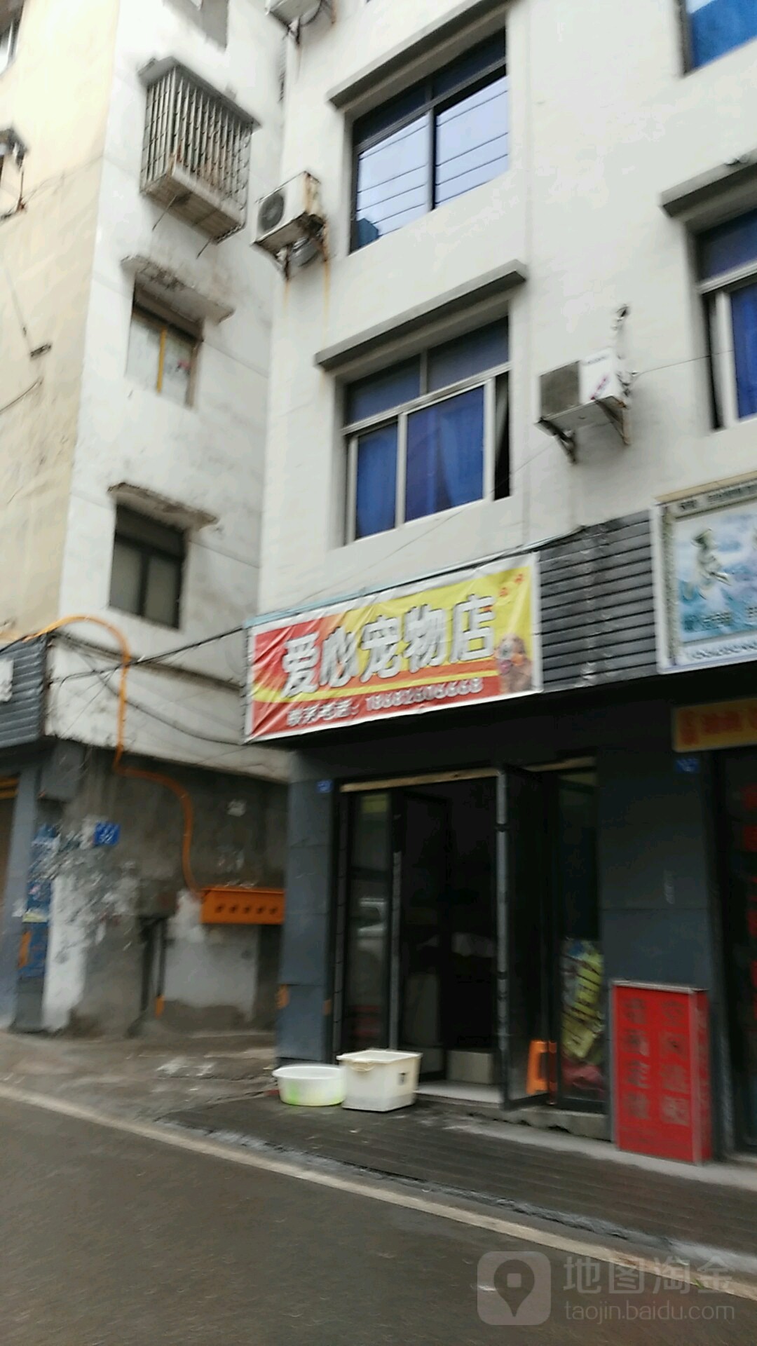 爱心宠物店(望江街店)