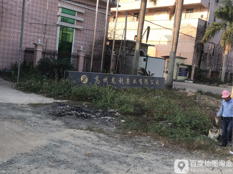 高州龙利果业有限公司