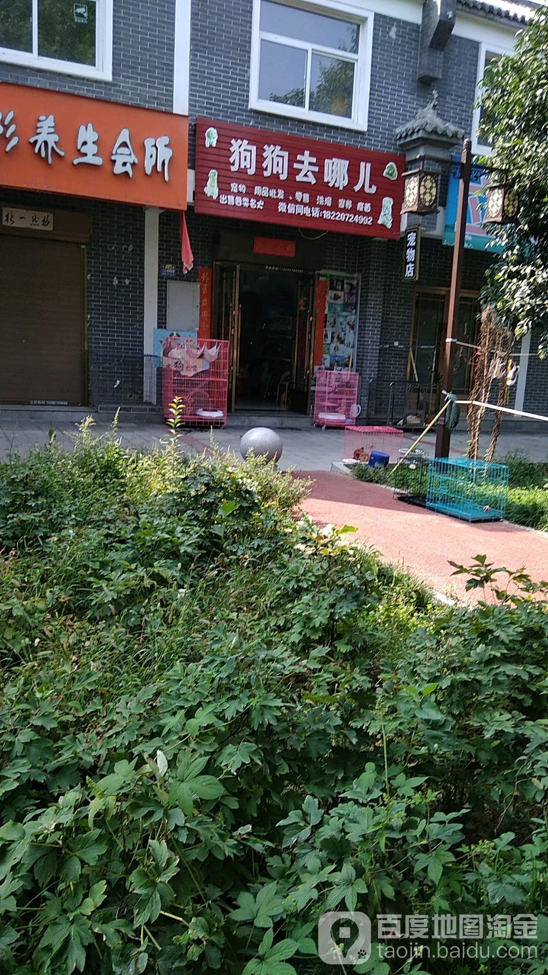 狗狗去哪儿宠物店(宠物生活馆)