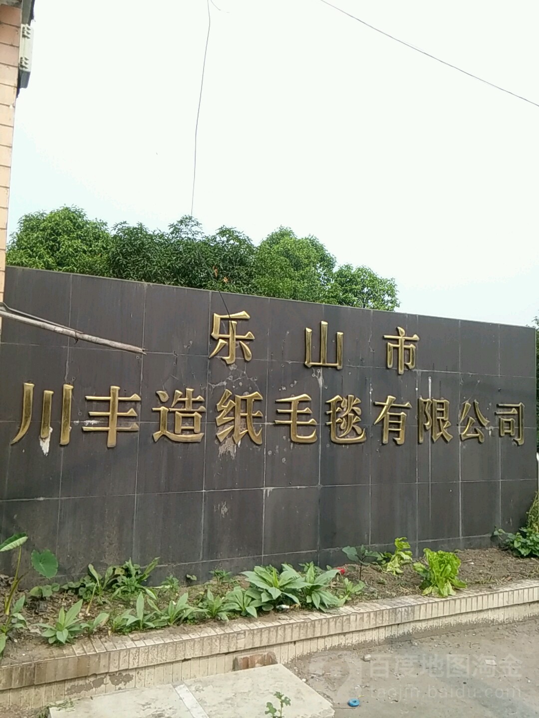 乐山市川丰造纸毛毯有限公司