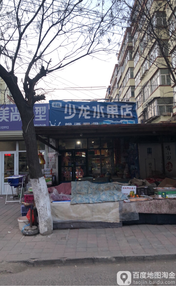 少龙水果店