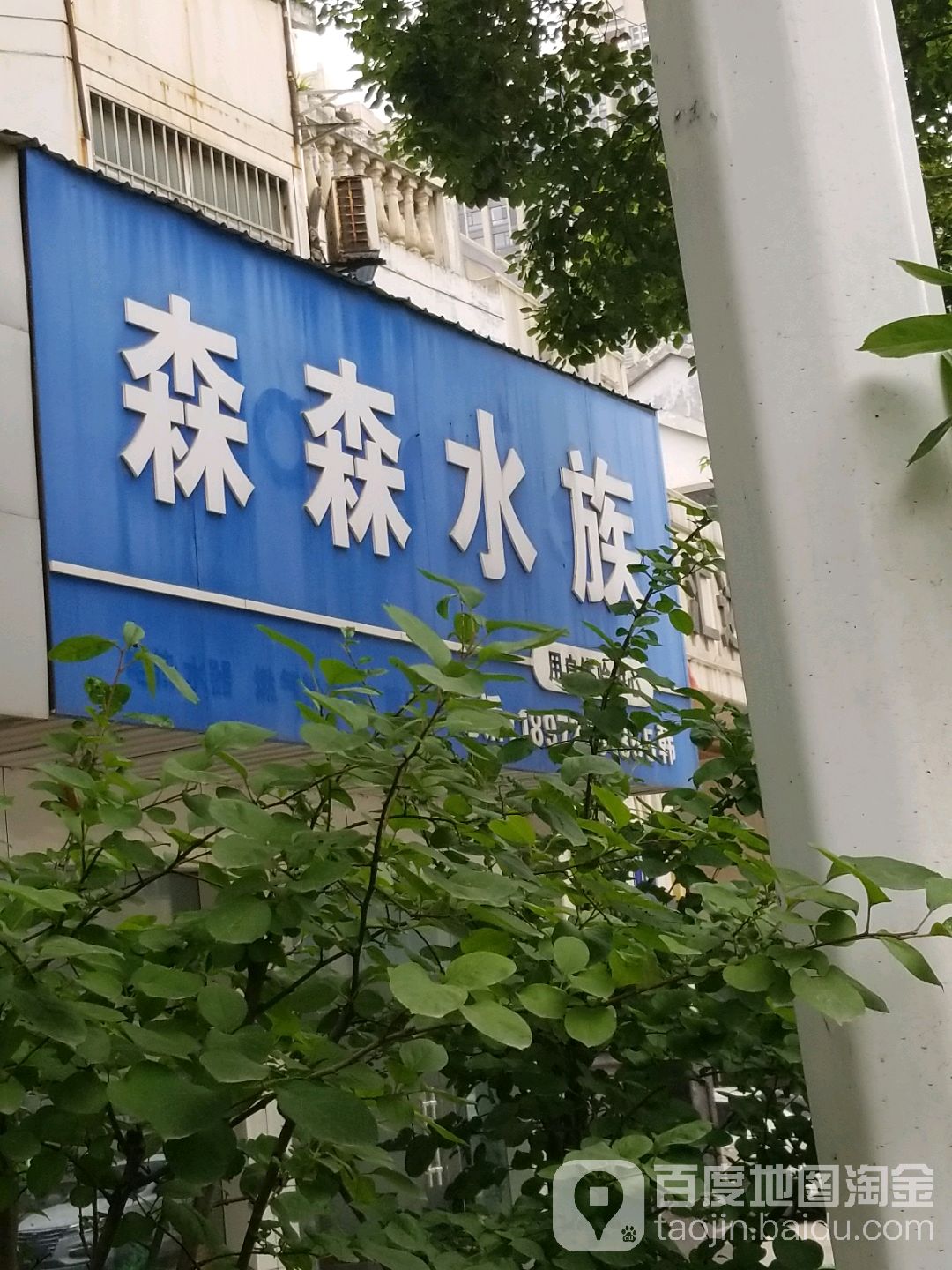 森森四水(大冶大道店)