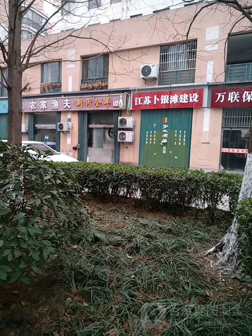 新沂全羊高