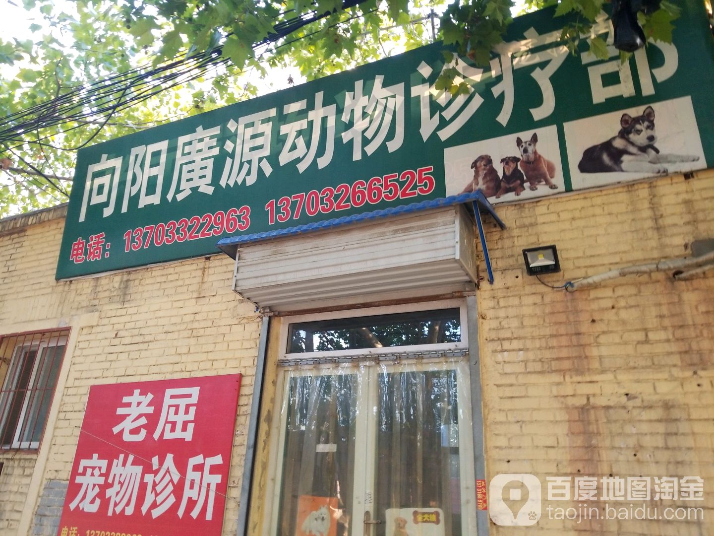 老屈宠物店