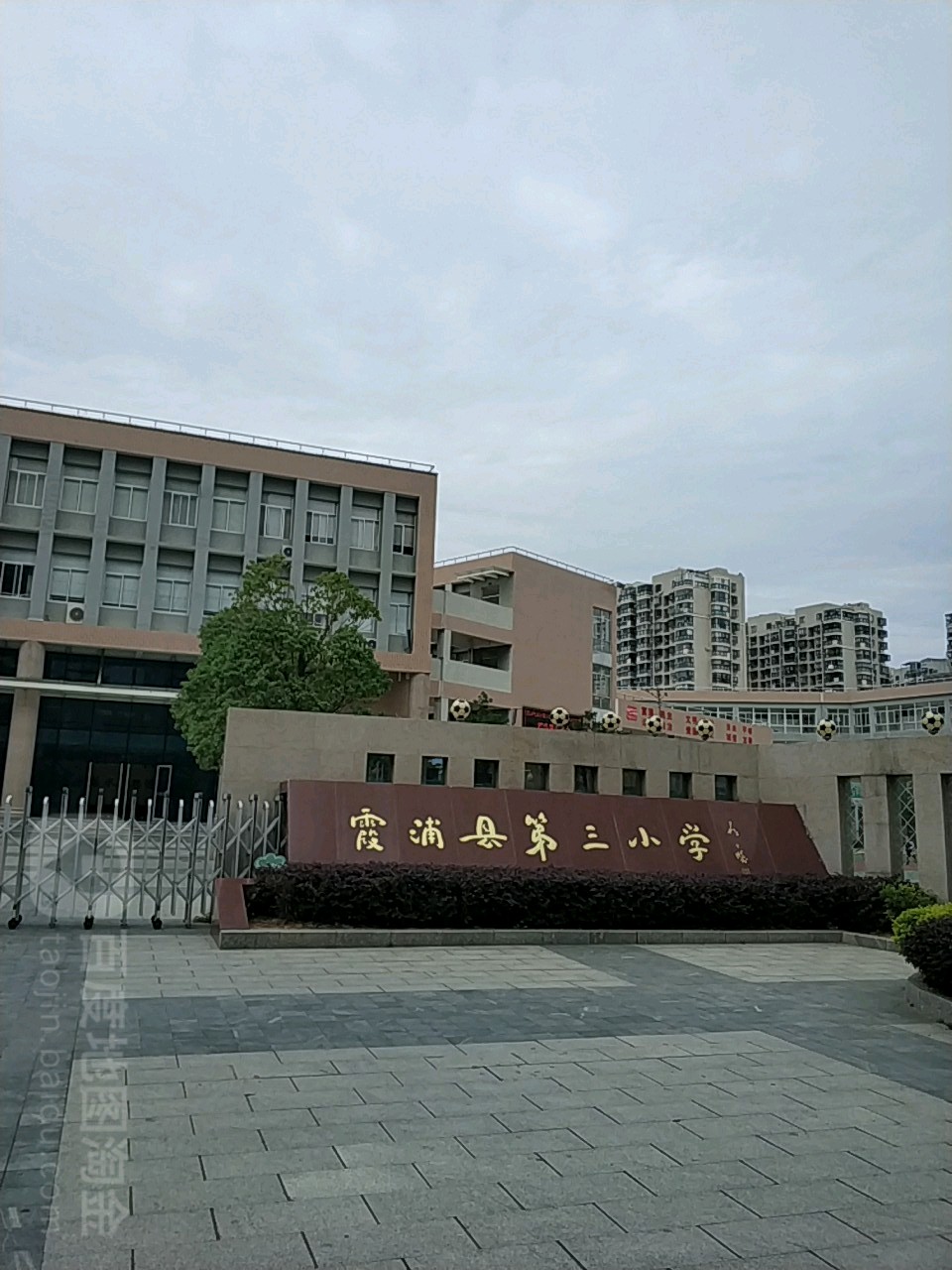 霞浦滨海小学位置图片