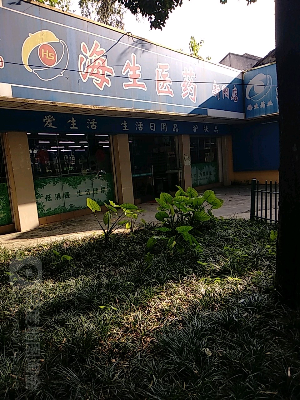 海生醫藥(新陽店)