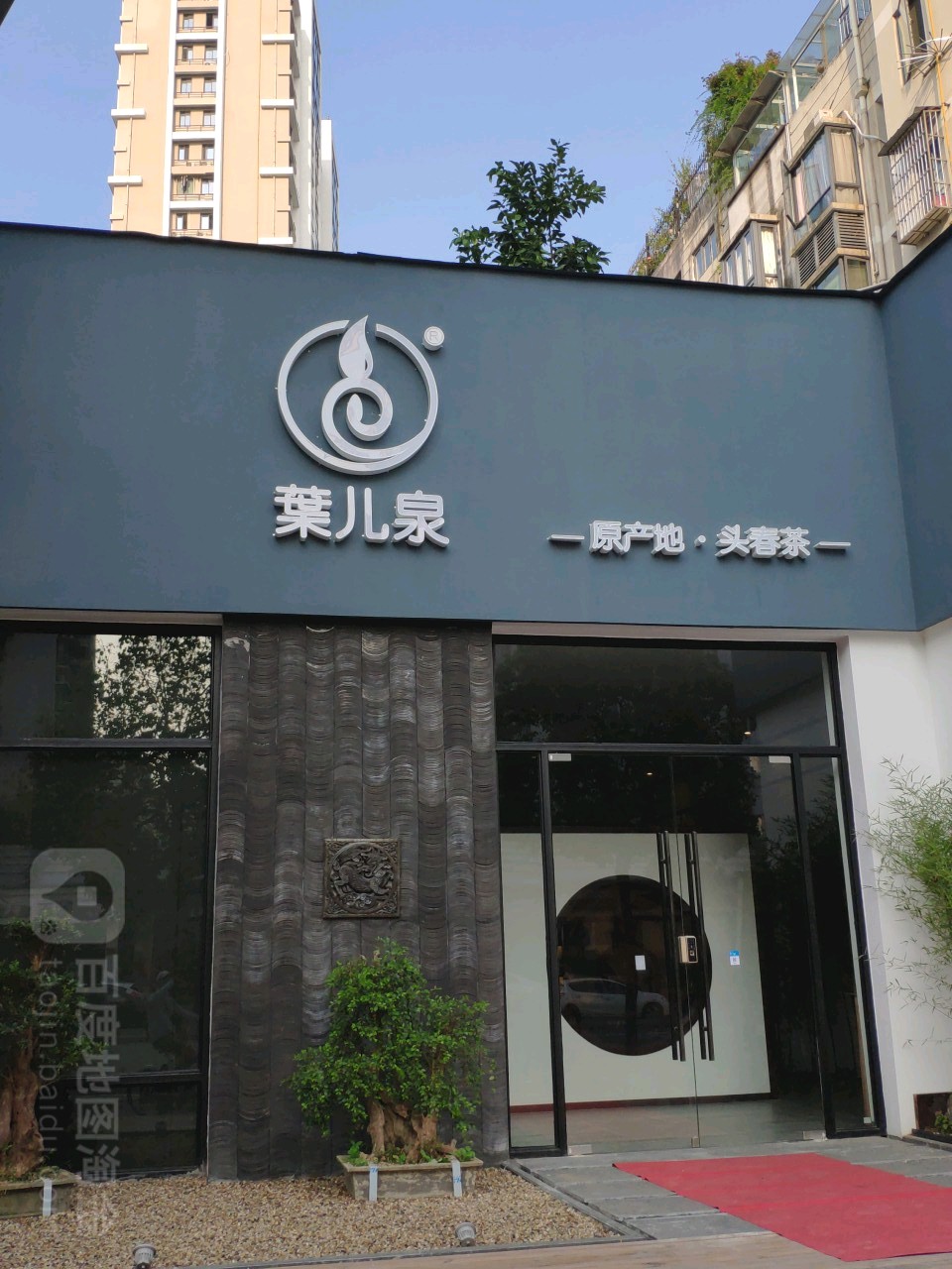 叶儿泉名茶