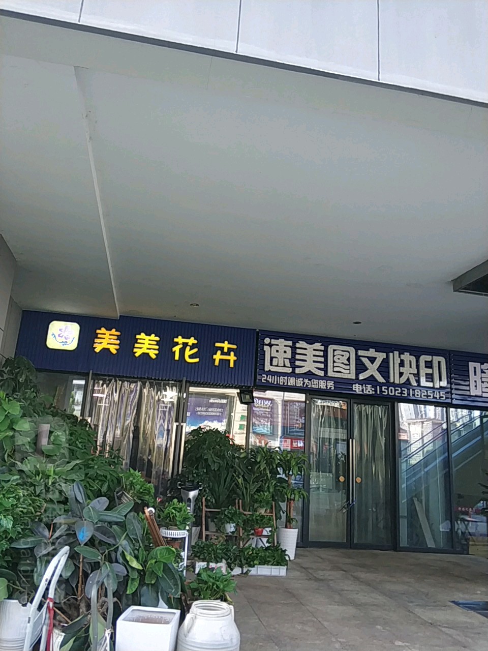美美花卉(巴南万达广场店)