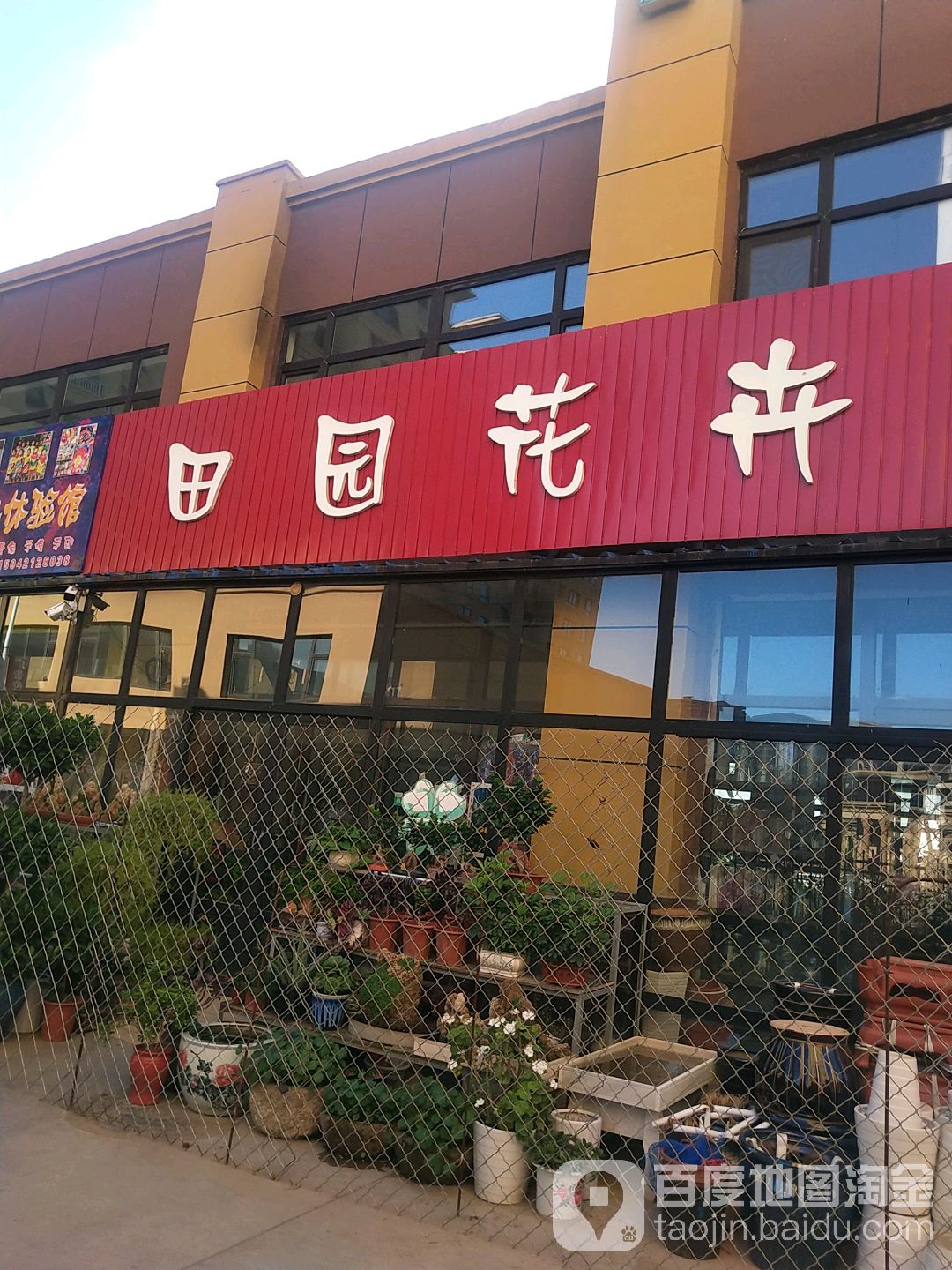 田园花卉(文化路店)