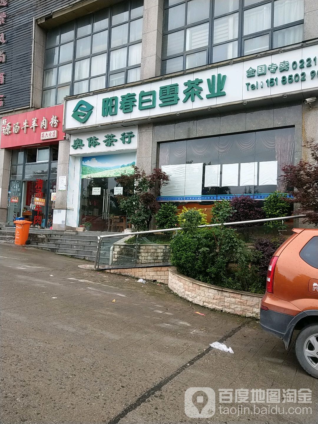 阳春白雪茶业