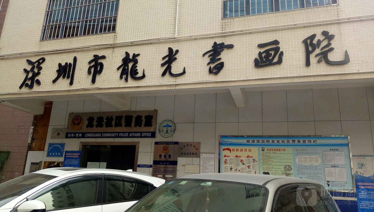 深圳市龙光书画院