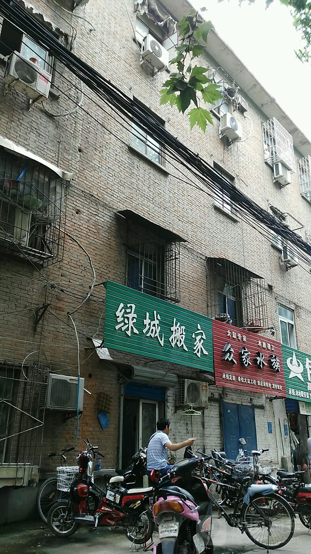 众家水族(伏牛路店)