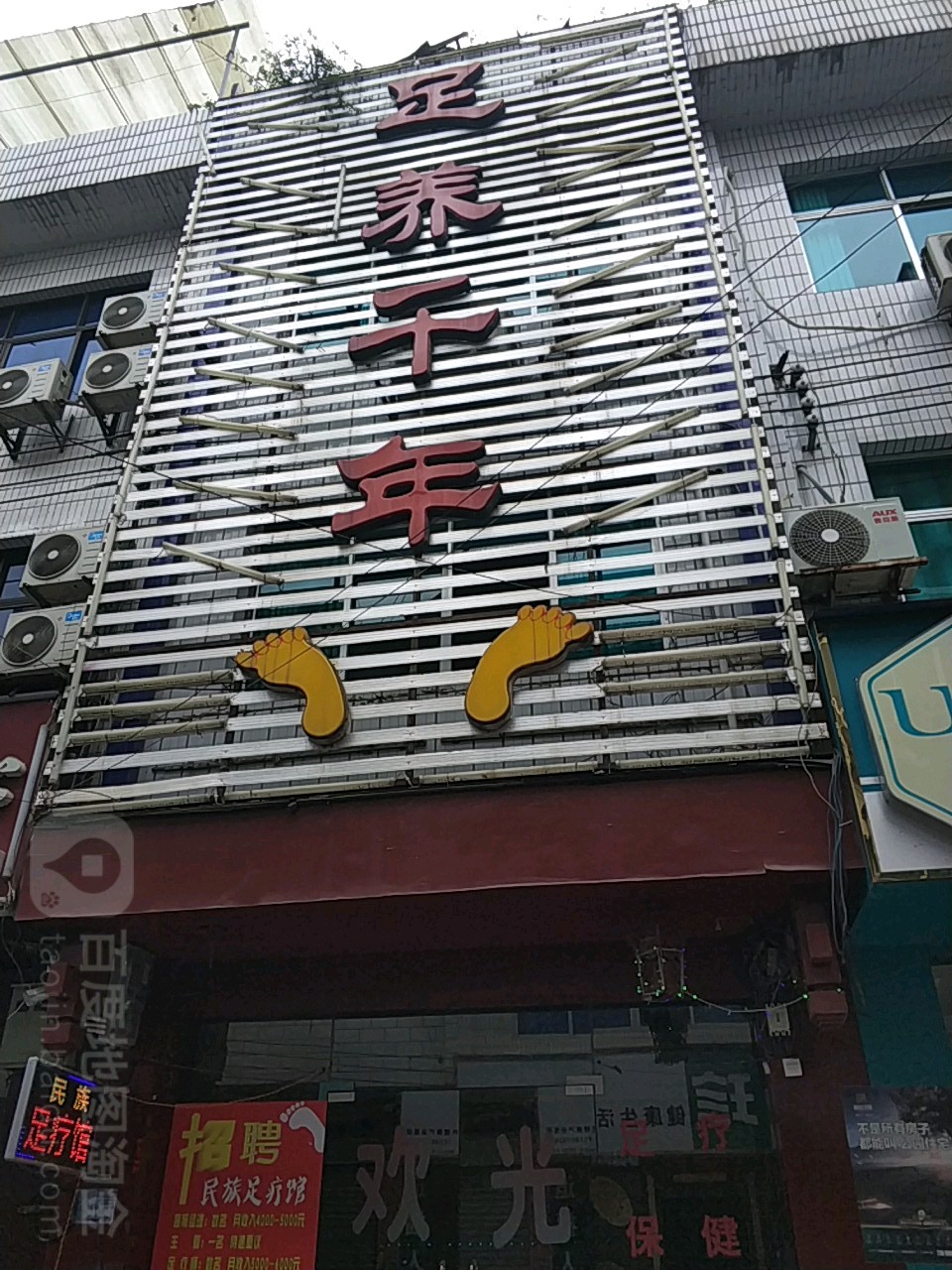 足养千年