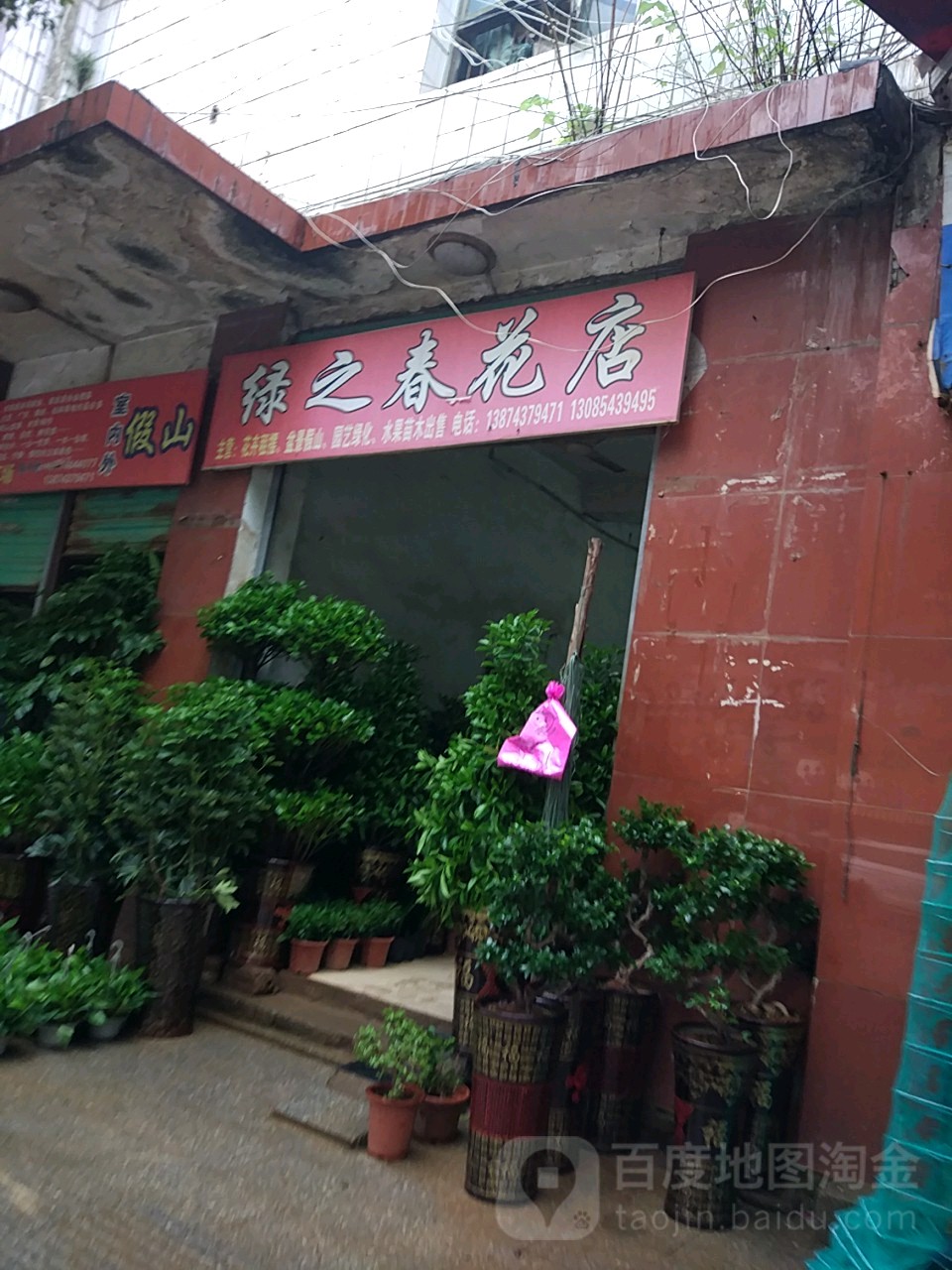 绿之春花店