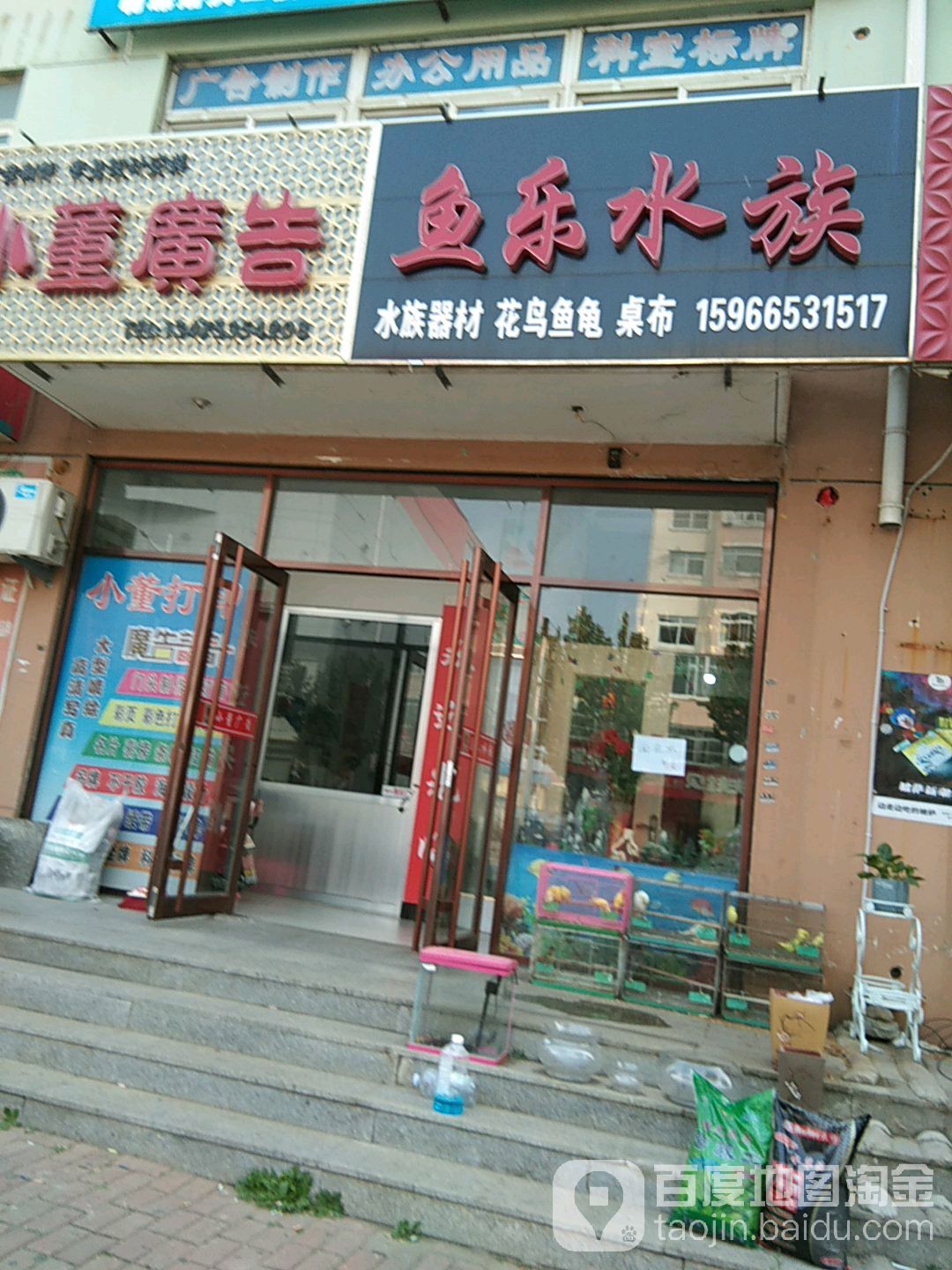 燕子家居鱼乐水族