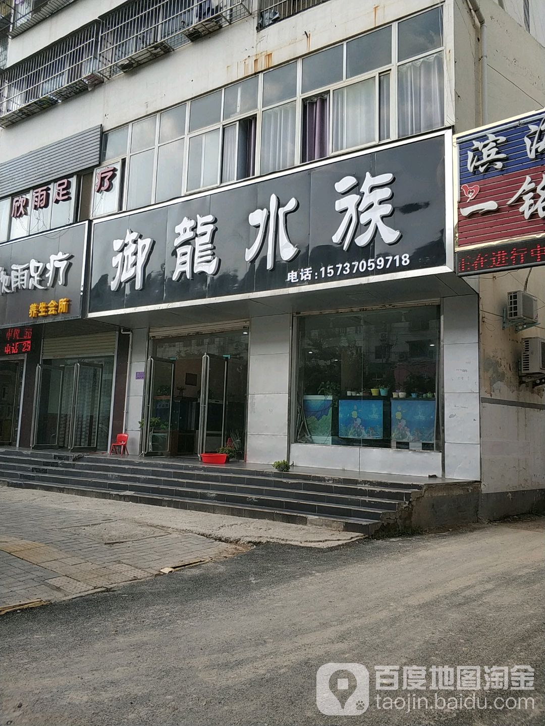 御龙水族