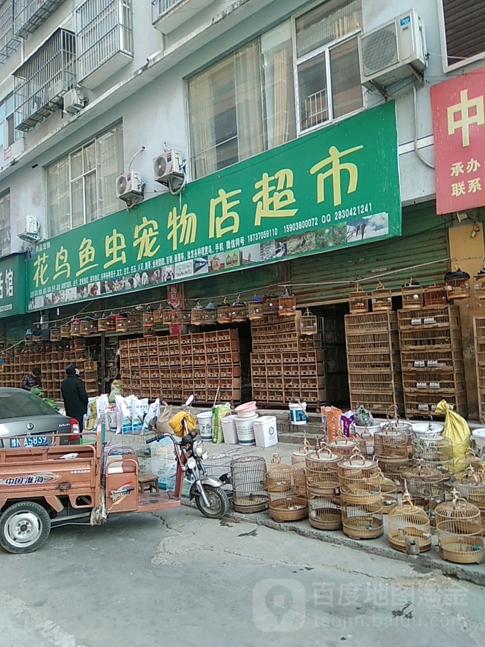 花鸟鱼虫宠物店超市