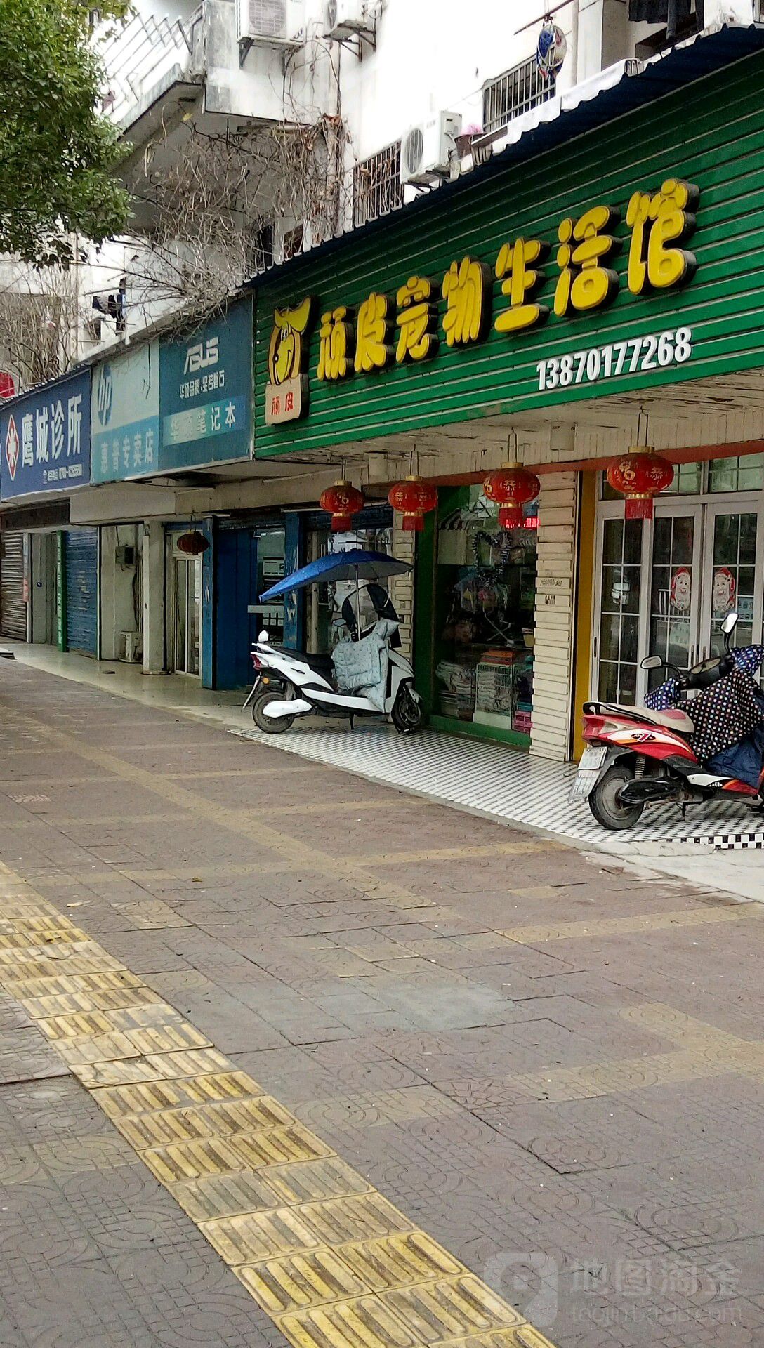 顽具宠物生活馆(胜利东路店)