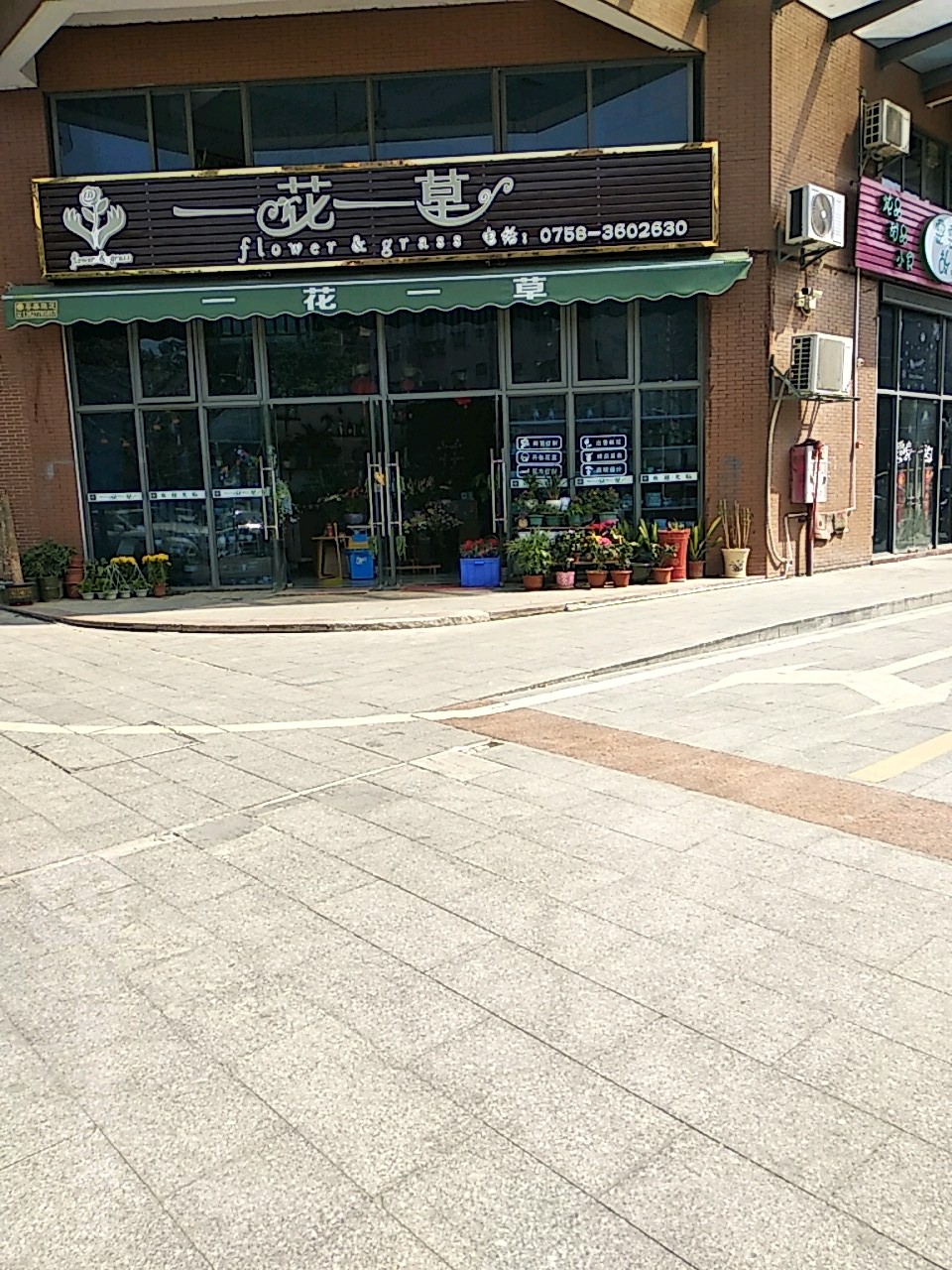 一花一草