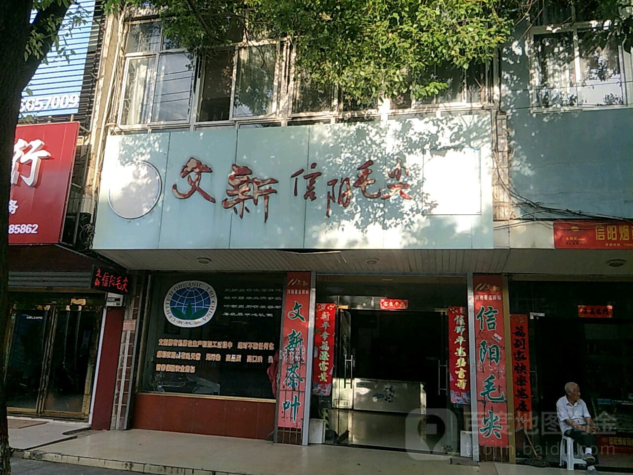 淮滨县文新信阳毛尖(乌龙大道店)