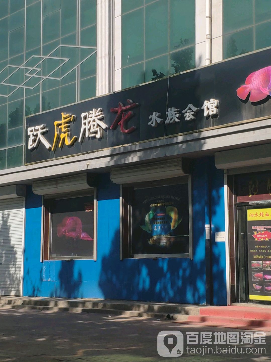 跃虎腾龙水族会馆
