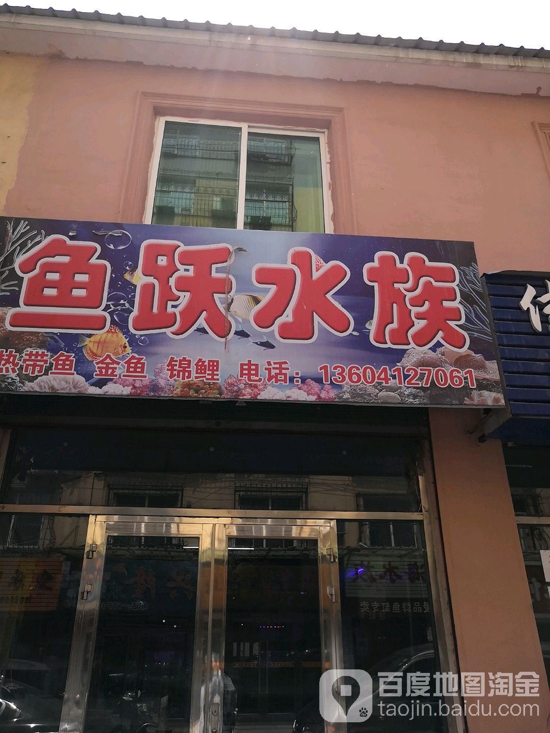 鱼跃水族(中街路店)