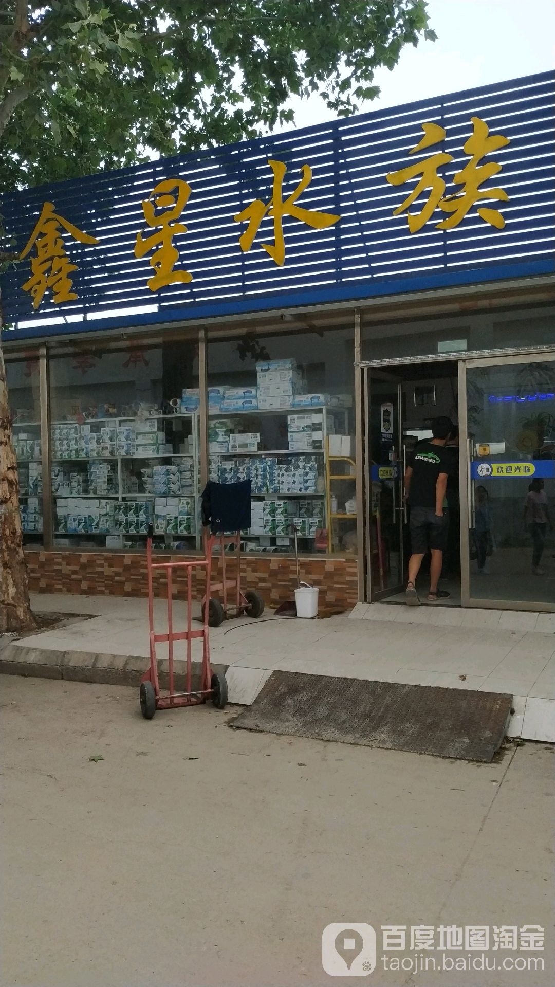 鑫星水族(总店)