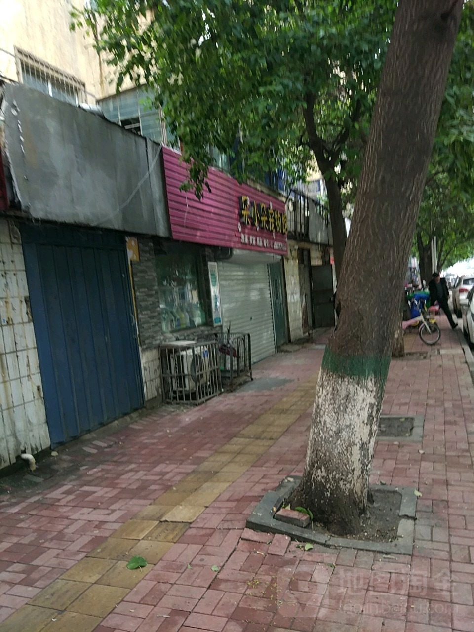 朵小朵宠物馆(湛北路店)