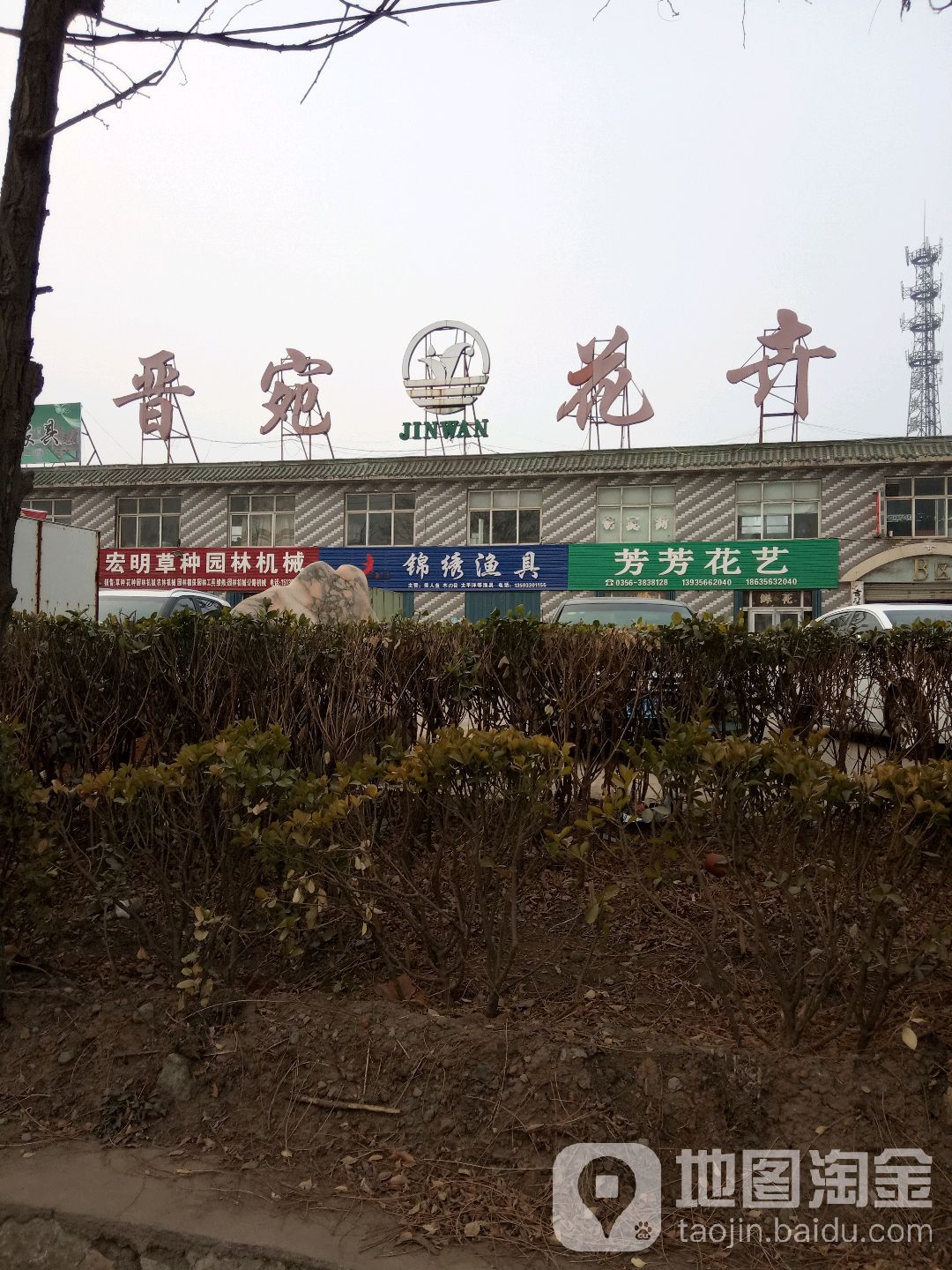 晋宛花卉