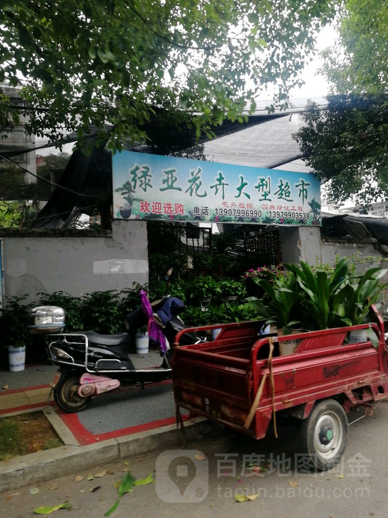 绿亚花卉大型超市