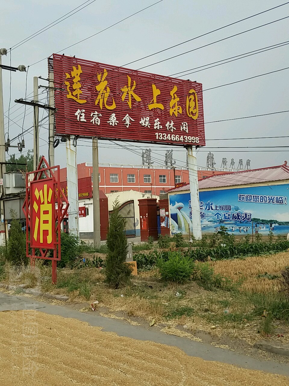 莲花水上公园