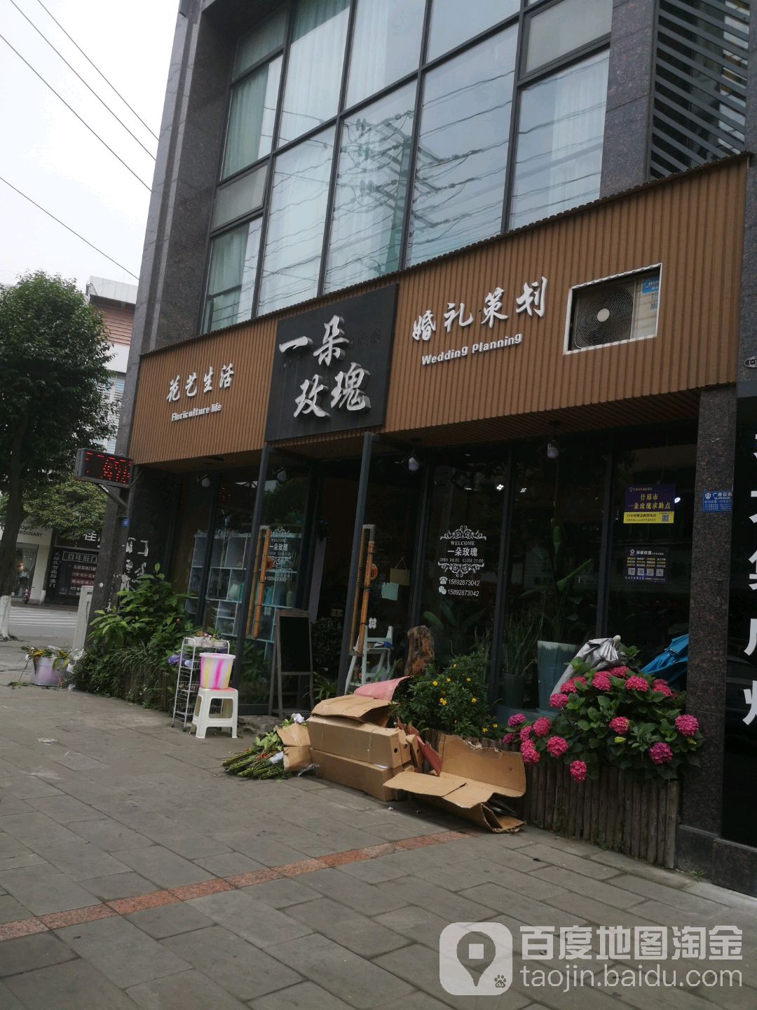 一朵玫瑰(图腾新天地店)