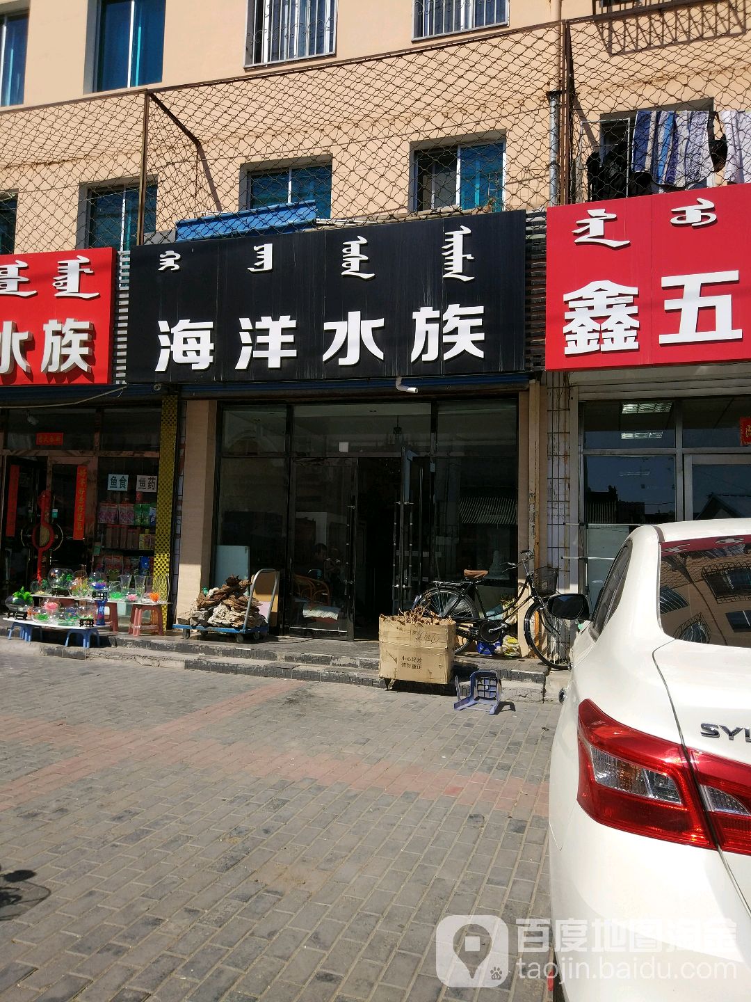 海鲜水族(可丽爱专卖店)