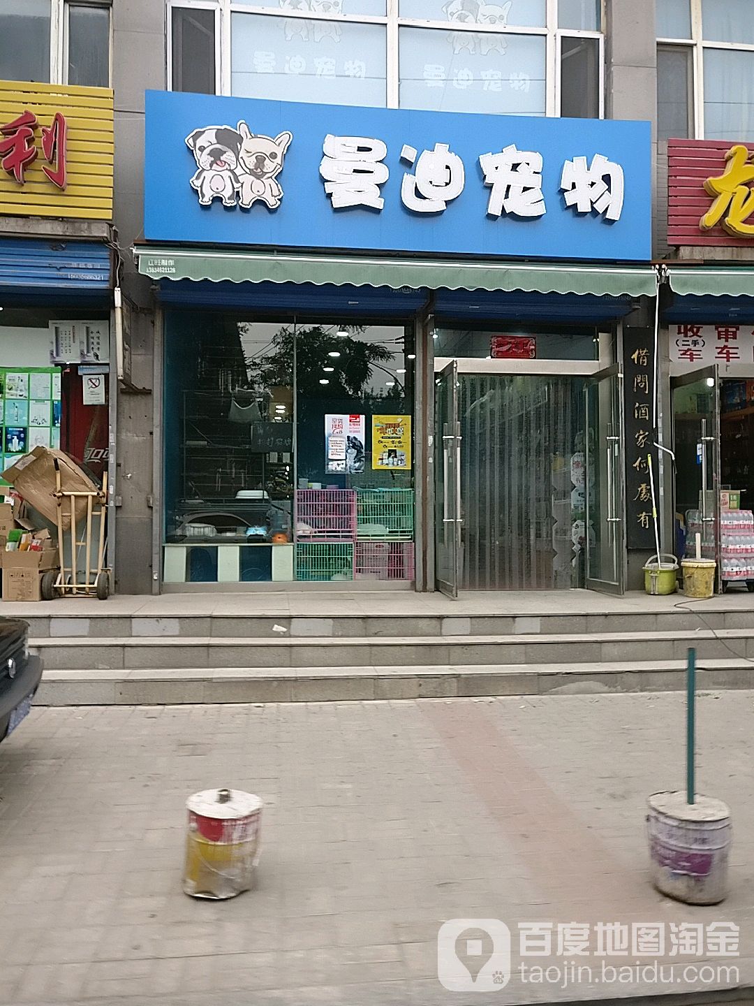 曼迪宠物
