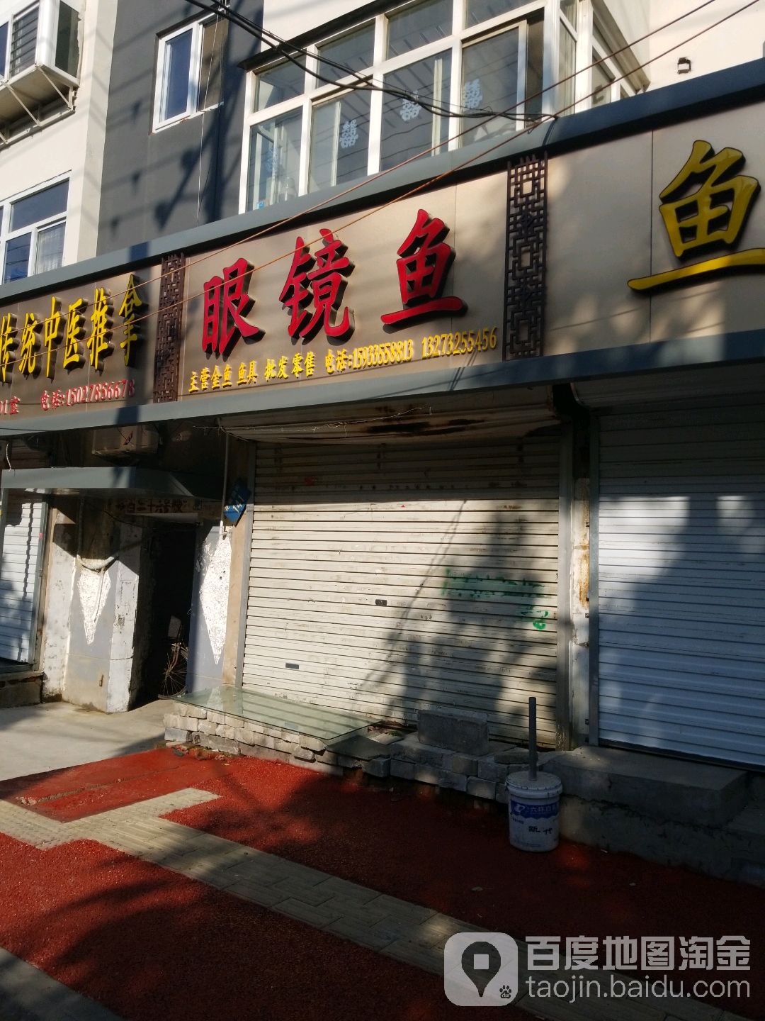眼镜鱼