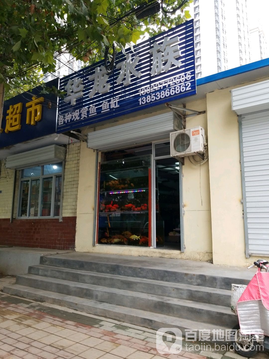 华隆水族