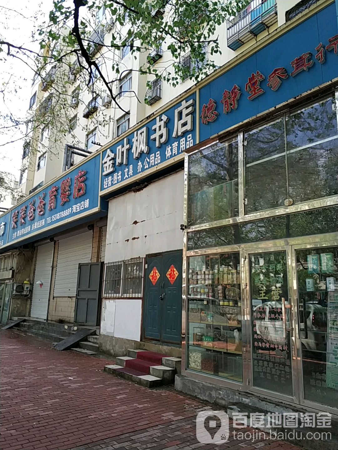 金叶枫书城