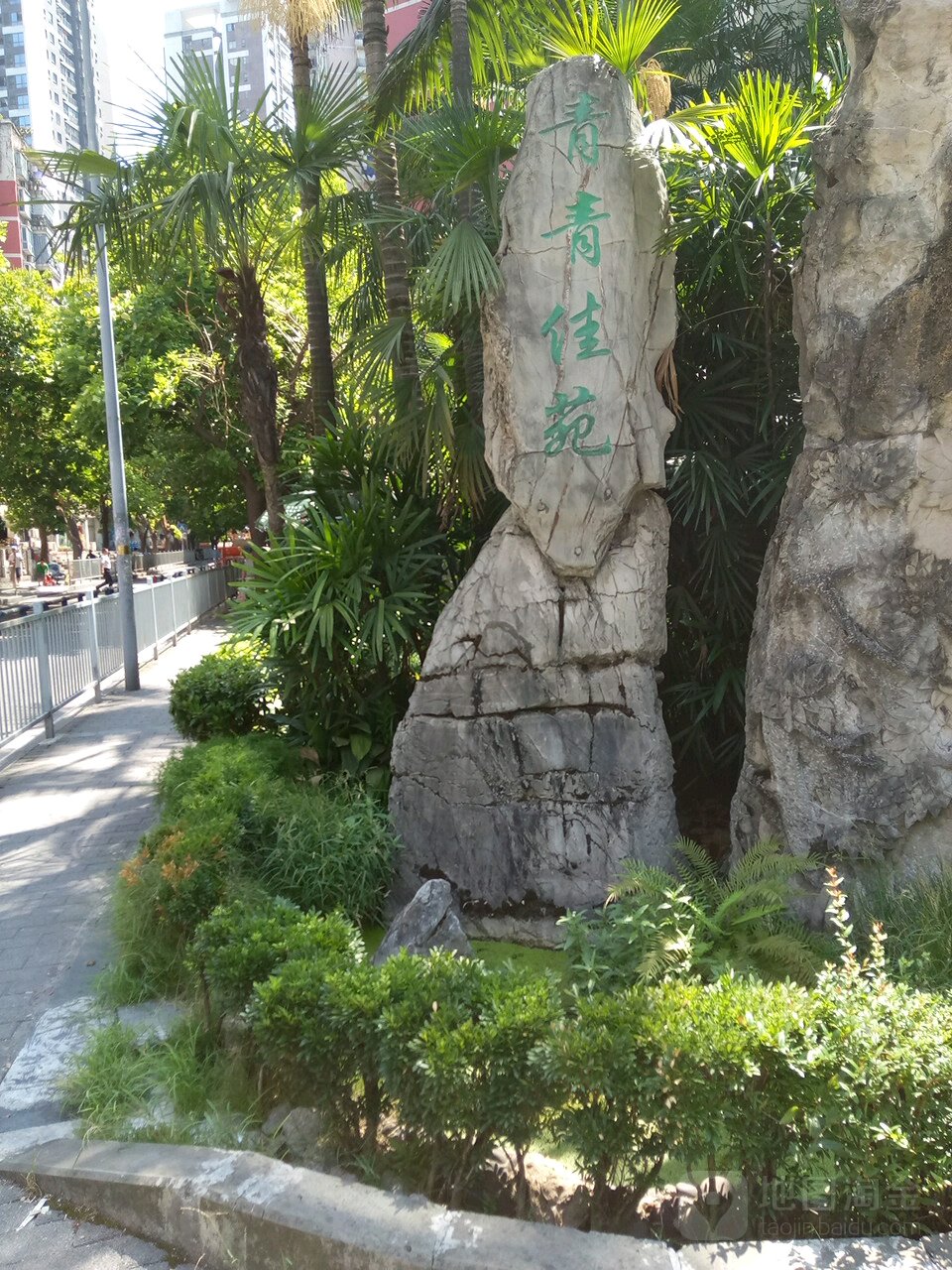 青青家园
