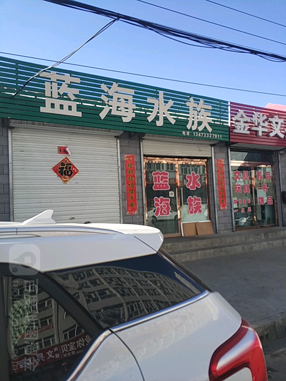 蓝海水族