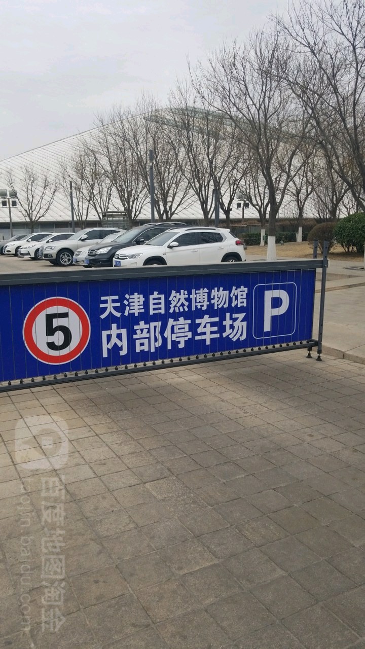 天津自热博物馆-内部专用地上停车场